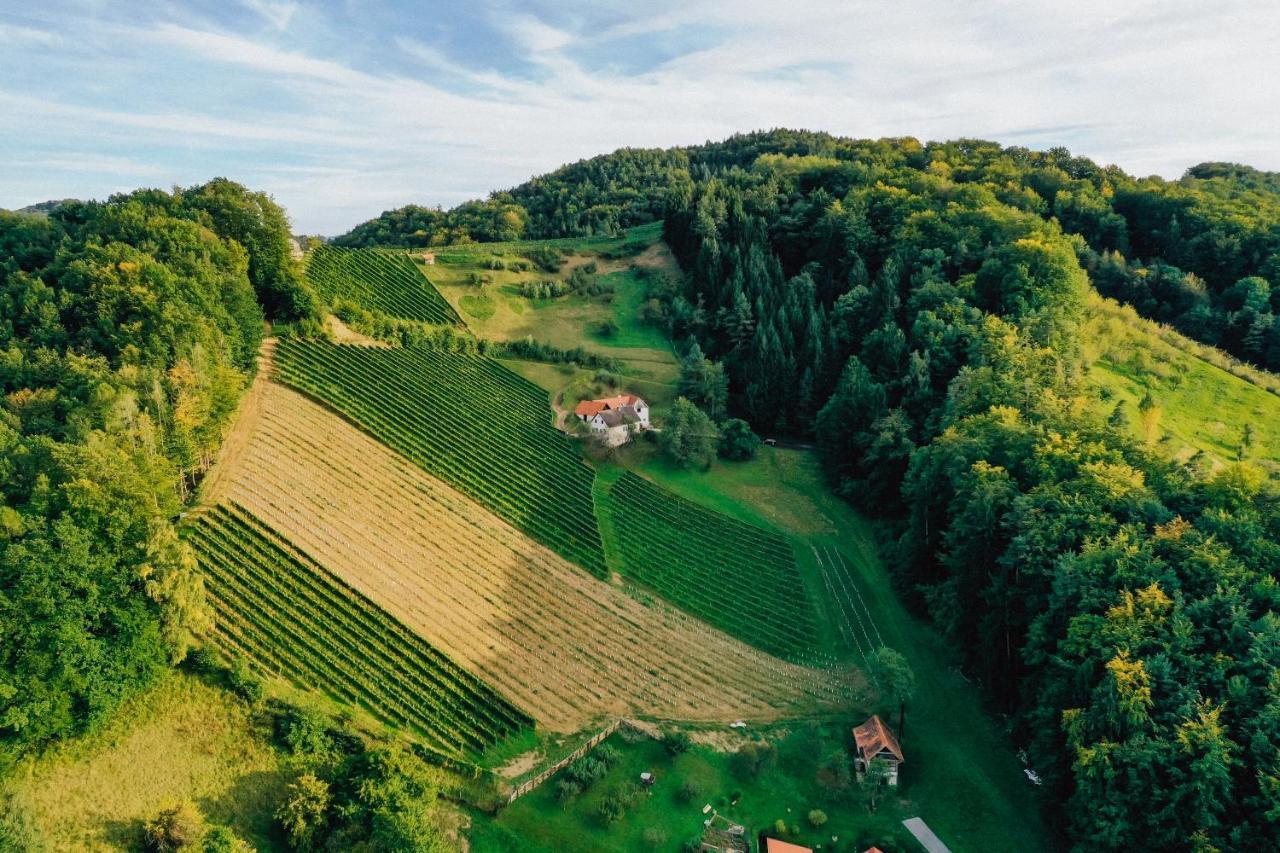 Winzerhof Strablegg Villa Grossklein Exterior photo